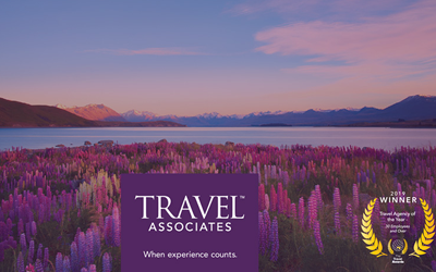 MarketFinda Generates $1.3M